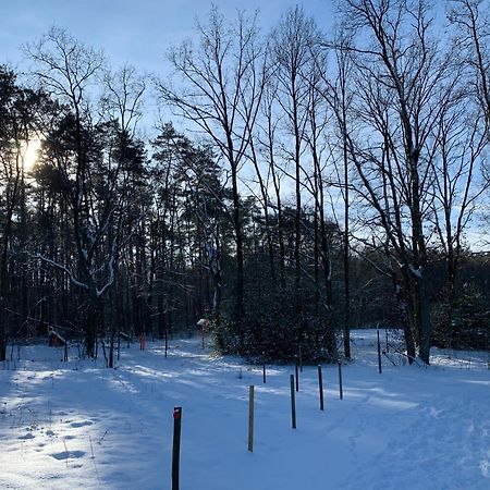 Chalet Liquidambar Zutendaal Dış mekan fotoğraf